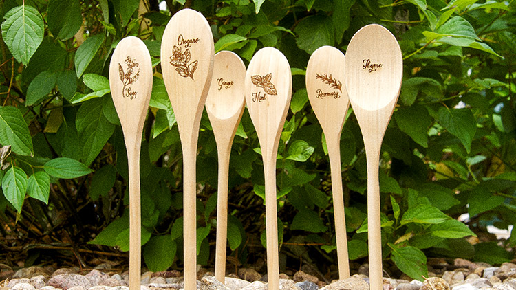 Wooden spoons standing in the stones and in front of plants