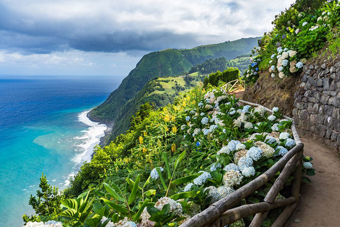 Walking path with a nice view on the ocean and surrounded with nature and flowers