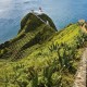 Azores islands landscape