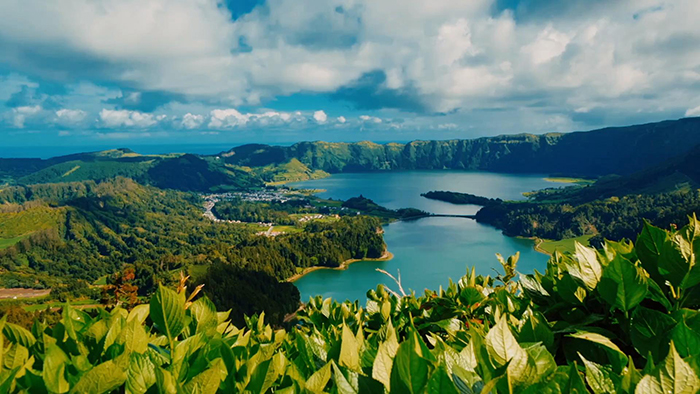 Landscape of forests, water and plants in the Azores