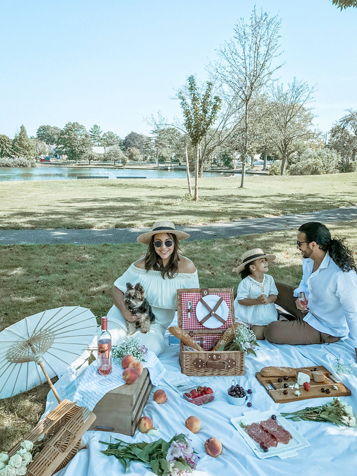 Family and their dog having picnic in the park