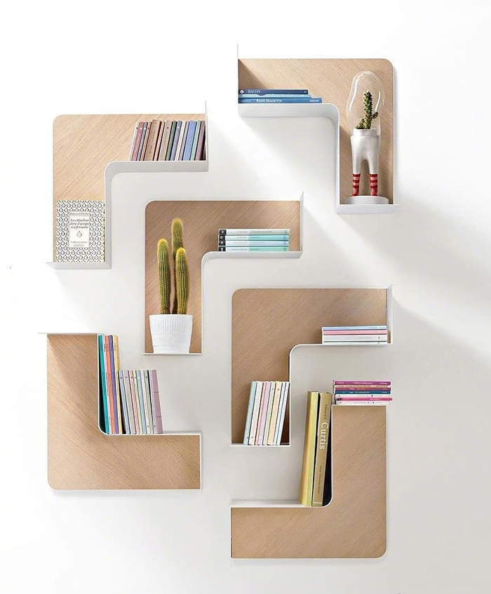 Books and cactus on a shelf