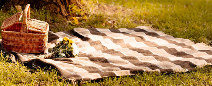 Picnic blanket with a food basket and flowers on it