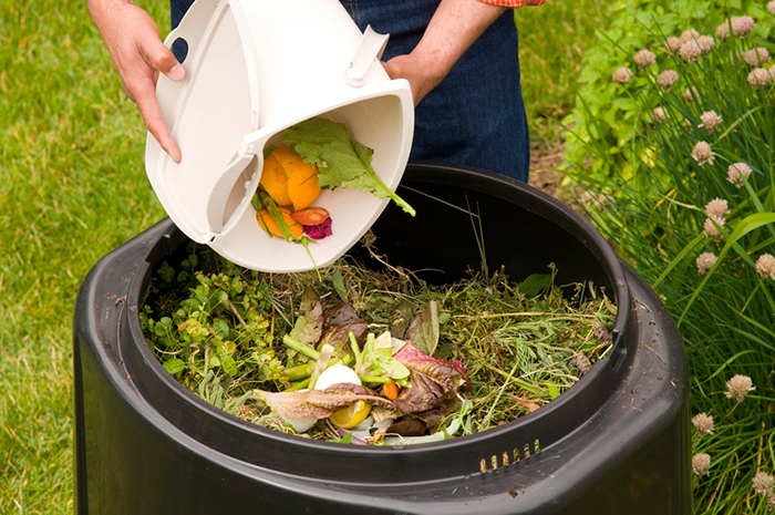 Putting the leftovers of the vegetables and fruits into a basket