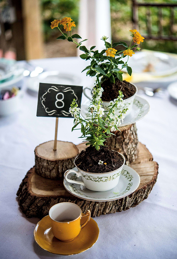 Flowers growing out of tea cups standing on piece of woods