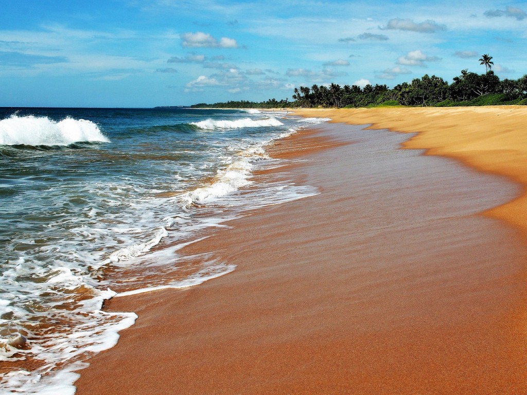 Relaxing beach in Sri Lanka