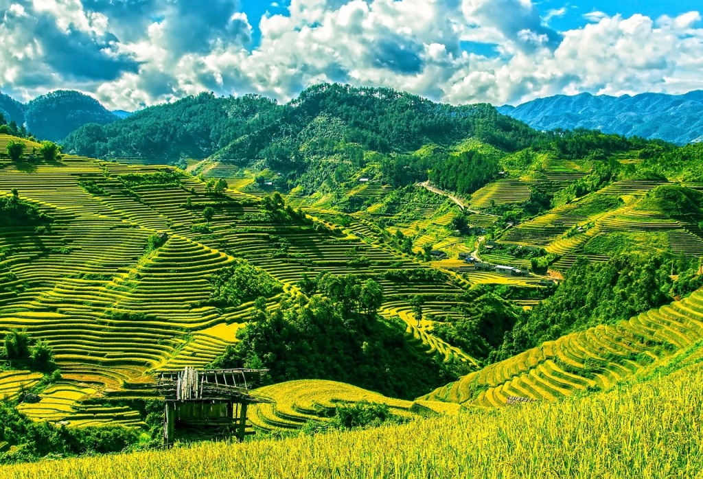 Sapa valley in Vietnam