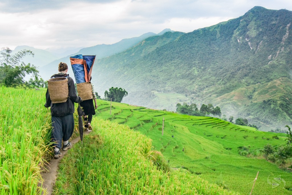 Trekking through Sapa valley in Vietnam