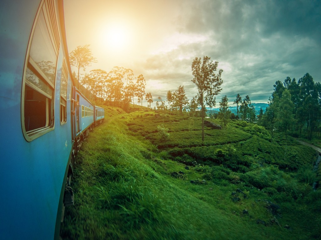 View of a great Sri Lanka nature through a train window