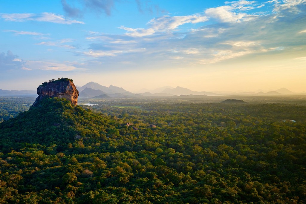 Sri Lanka Stone surrounded with forest