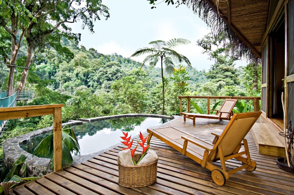 Balcony with a view on the forest