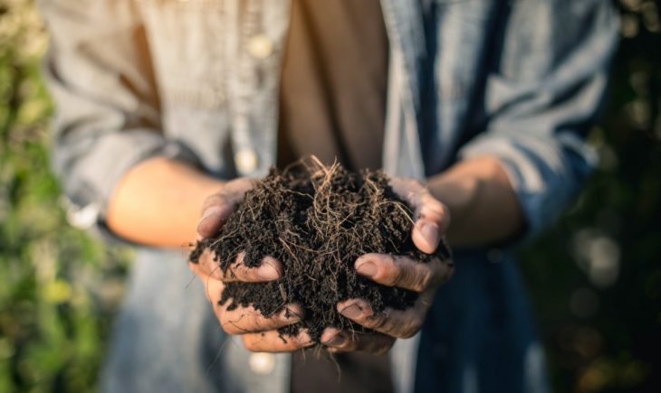 Person holding the compost