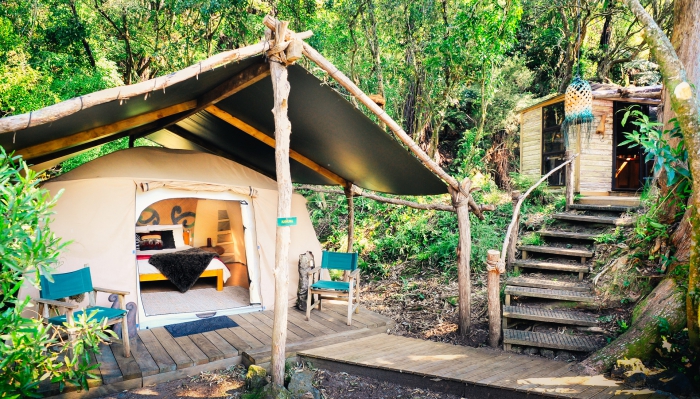 Glamping tent placed in the forest