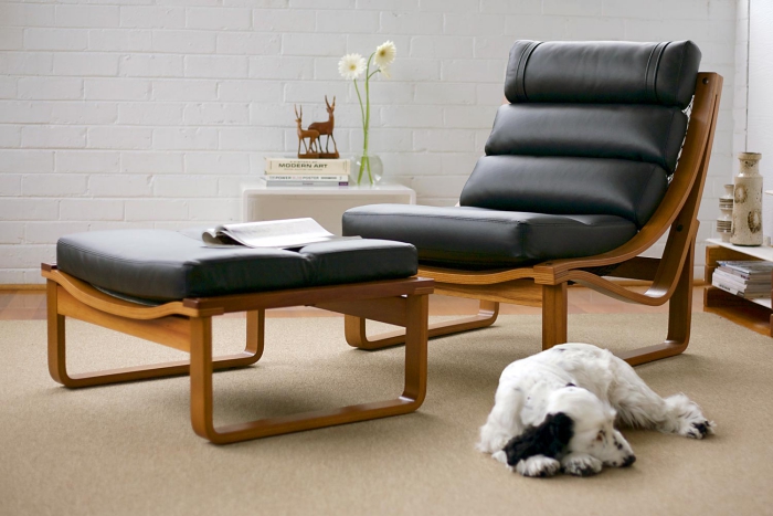 Leather chair with a dog next to it