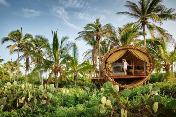 Woman glamping and surrounded with palm trees and cactuses