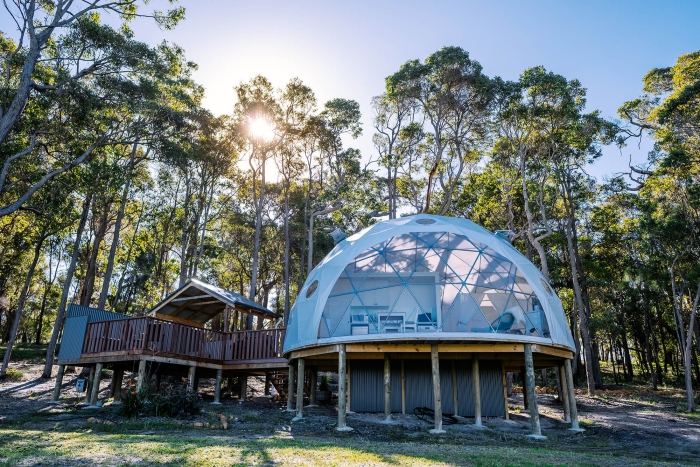 Dome shaped glamping tents in the forest