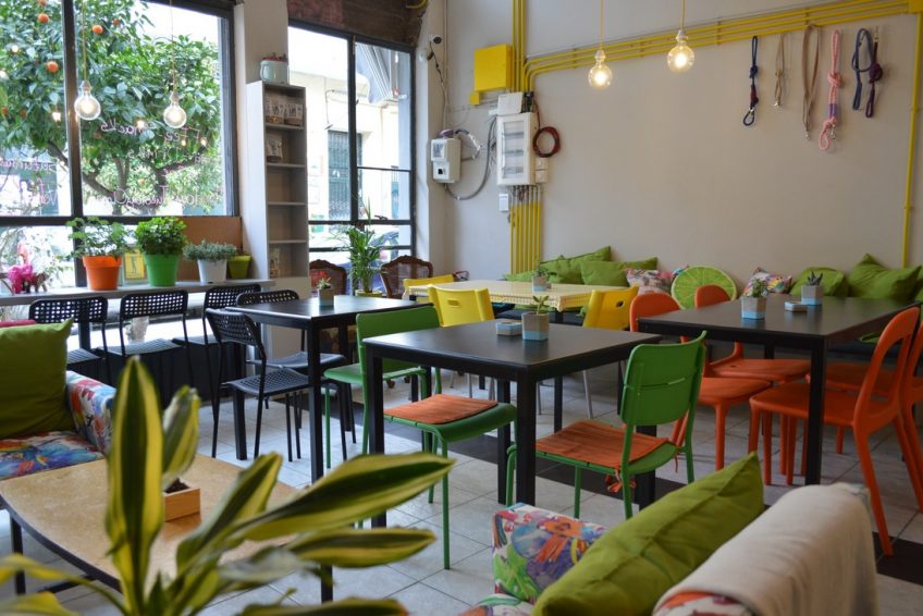 Vegan restaurant in Athens with minimalist interior