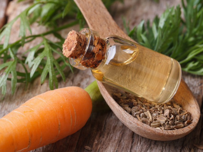 Carrot seed oil