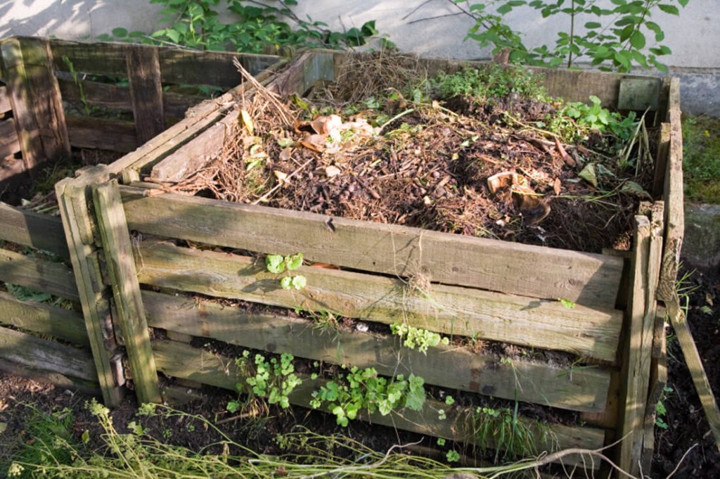 Compost bins made out of palletes