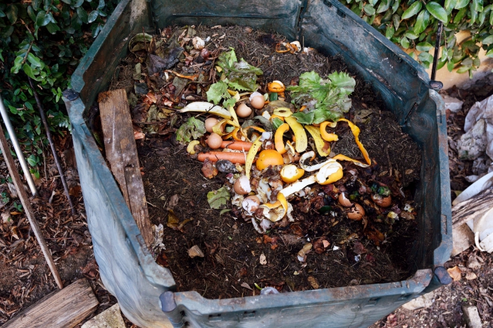 inside of a composting container