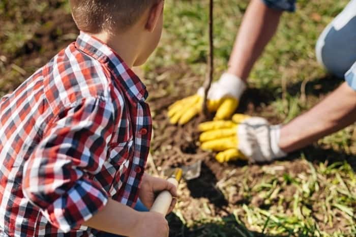 Kid with his parent using the compost