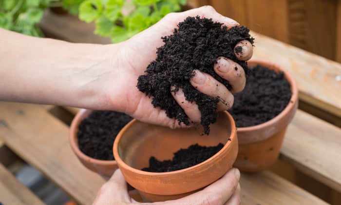 a hand placing soil in a pot