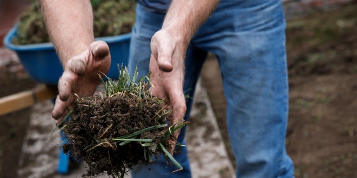 hands holding compost soil