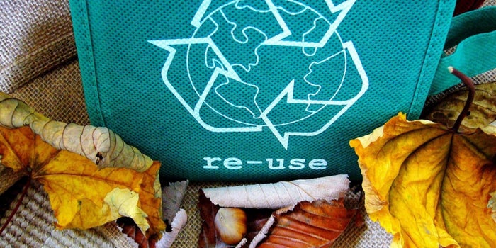 reusable bag with leaves