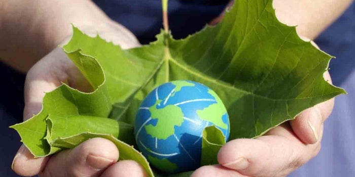 a hand holding a leaf and a planet inside