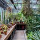 Greenhouse-design-ideas-tips