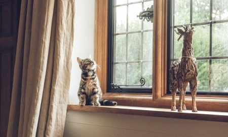 4 Signs that Show Your Windows Need Replacement