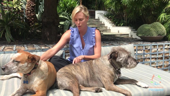 Charlize Theron dressed in blue top with two rescued dogs garden 