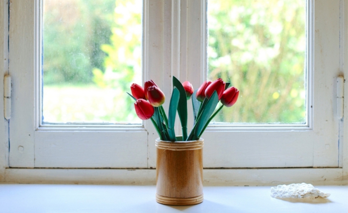 White windows with vase with tulips in front of them need windows replacement