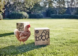 Free-Range-Eggs-Cater-Boxes
