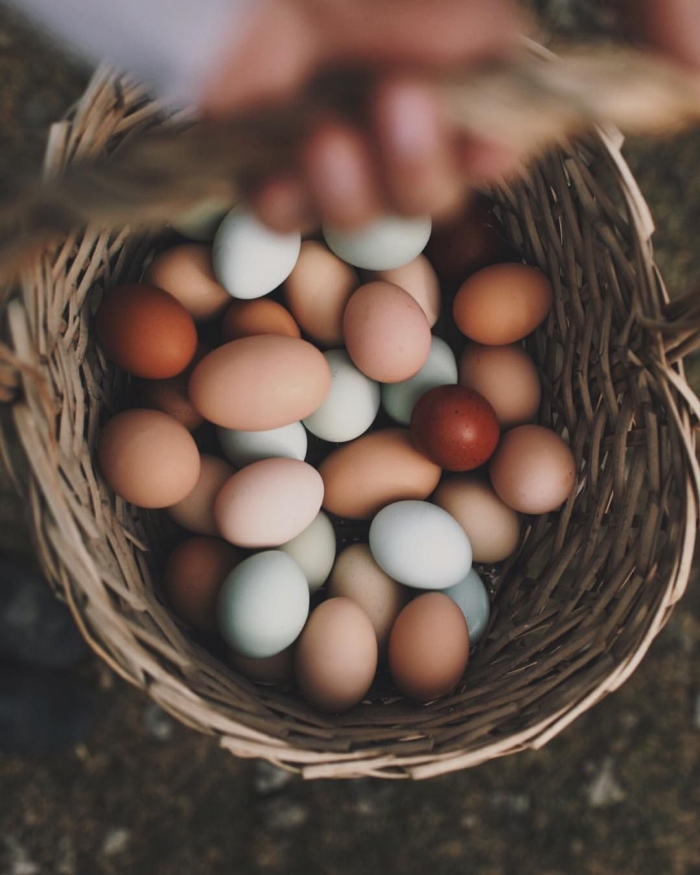 hand holding basket full of eggs in different colors