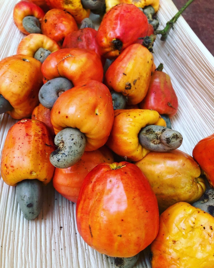 bright orange cashew apple fruits 