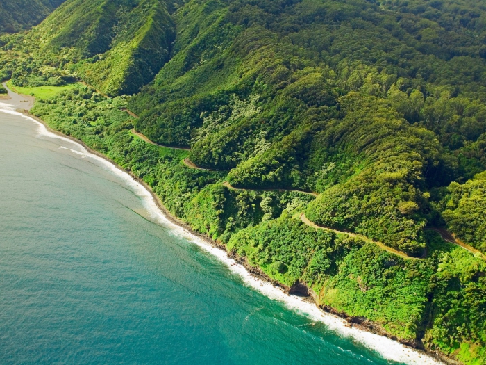 Hawaii coastal scenic road Hana Highway green coast 