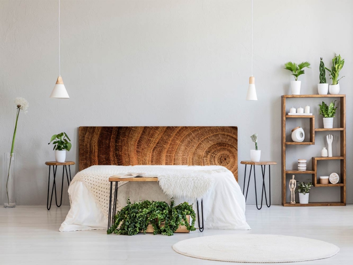 modern clean master bedroom with wooden elements and green plants