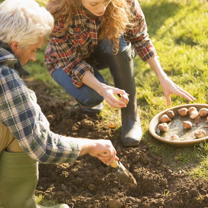 autumn outdoor activities ideas man and woman planting bulbs in a garden