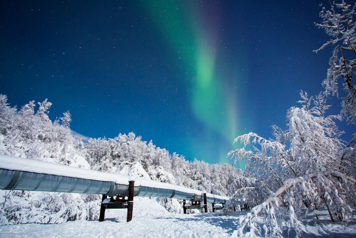 Northern lights in a clear winter sky winter snowy landscape