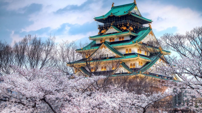 Beautiful temple in Japan in green and gold with pink blossom trees around it