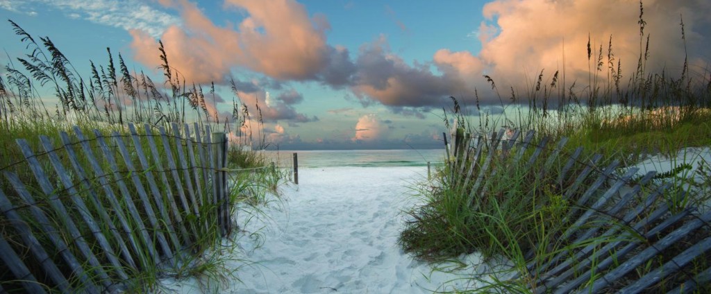 beach cleaning benefits preserving the beach clean white sand beach