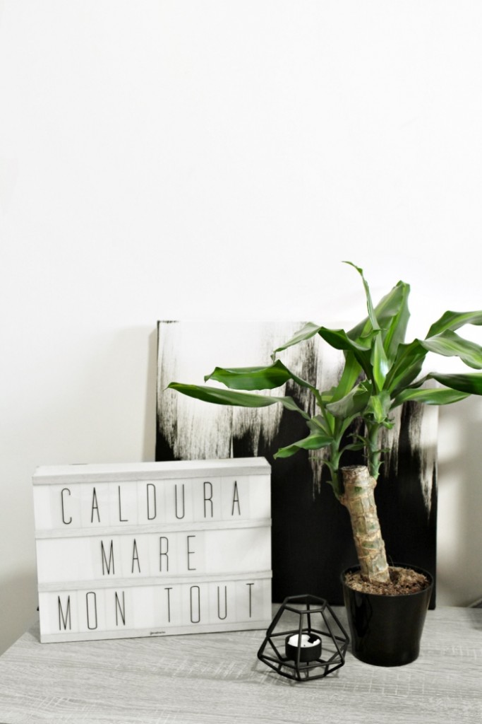 plant in a modern home environment with a black and white painting