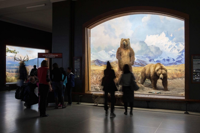 American Museum of Natural History in New York