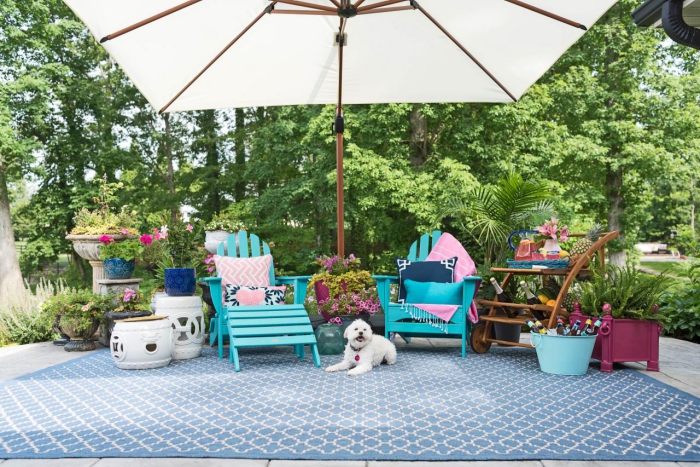 Bright blue patio with greenery a large patio umbrella white dog 