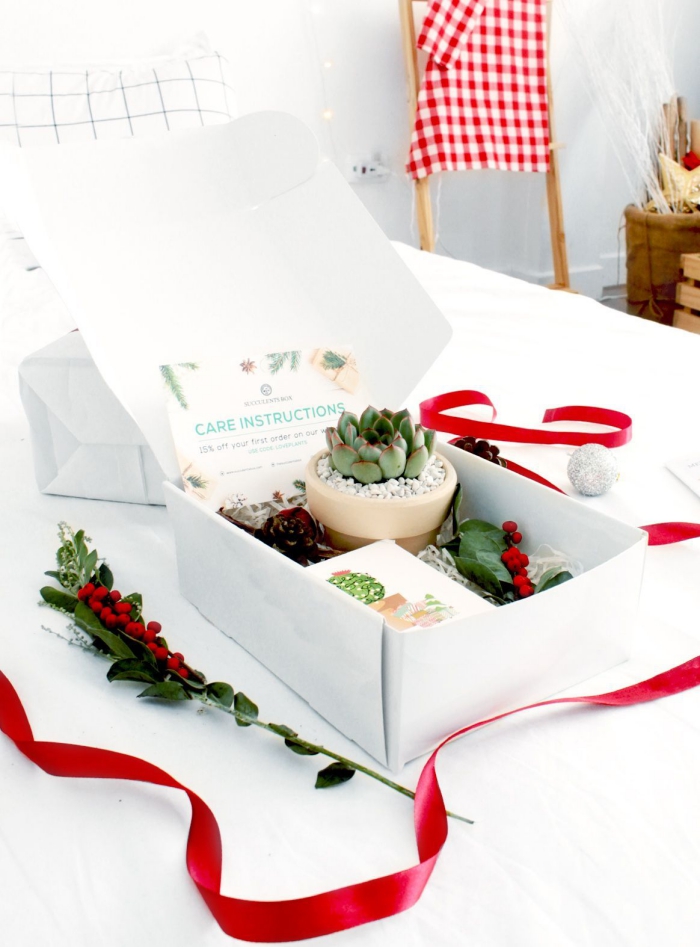 Christmas gift box with a succulent and red ribbon in a white table