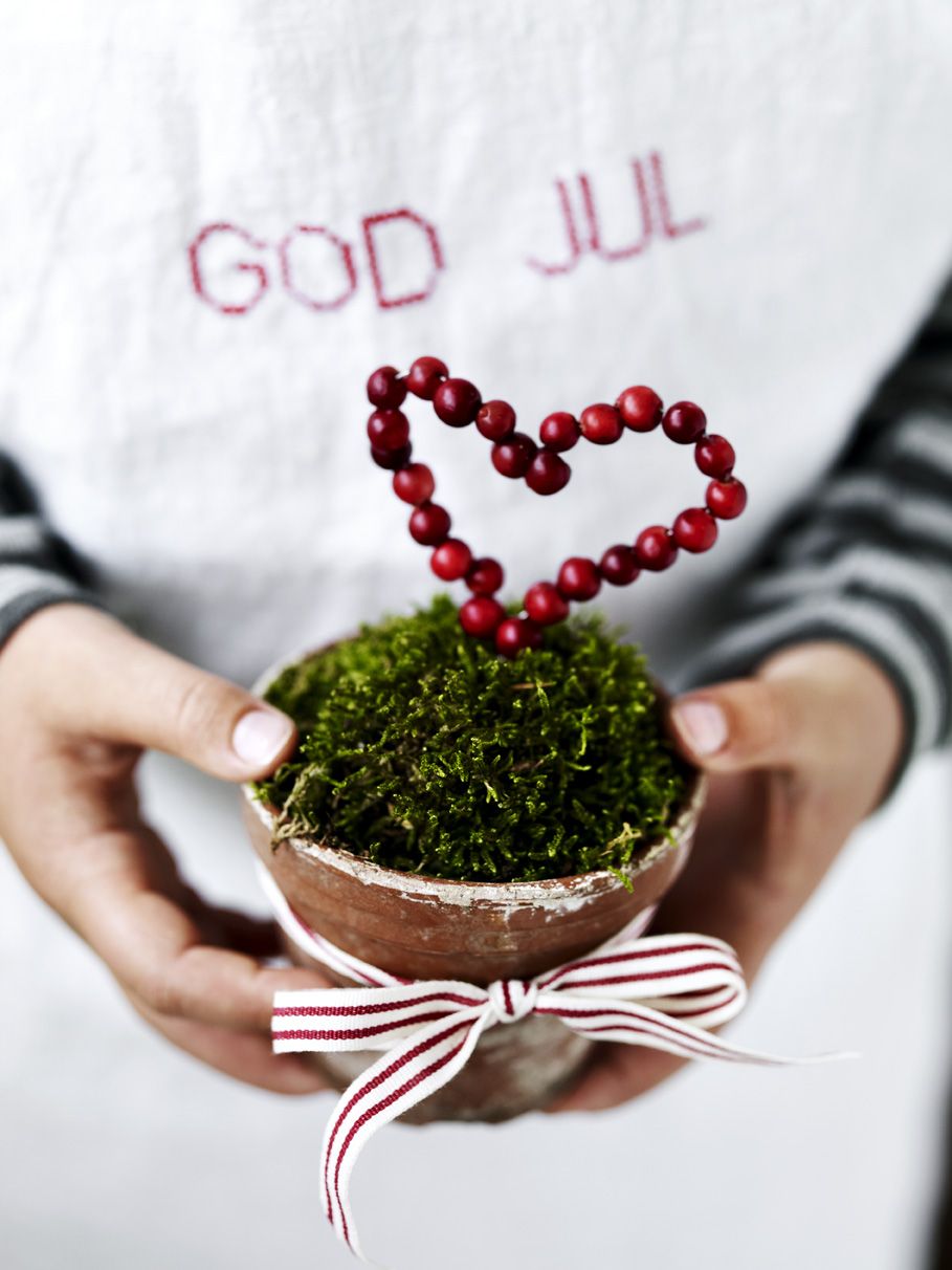 Cranberry Christmas decoration heart in a pot green moss white and red ribbon