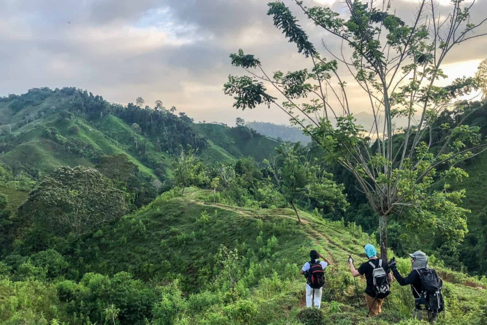 three people trekking through jungle ciudad perdida trek