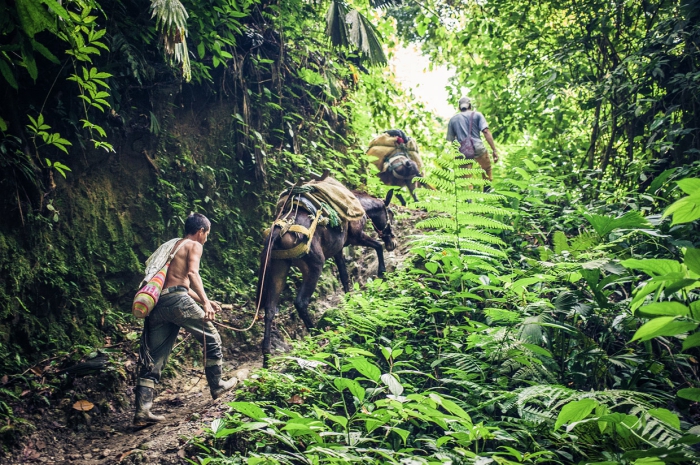 Lost city trekking donkeys people jungle trek