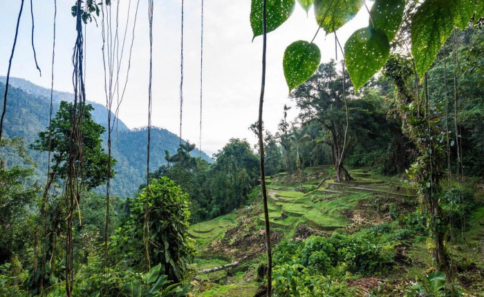 Lost City Trek Expedition Colombia jungle 